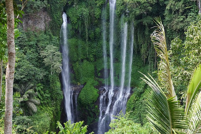 Banyuwana & Banyumala Waterfalls Tour Private - All-Inclusive - Banyumala Twin Waterfalls: A Pretty Descent Through Real Jungle