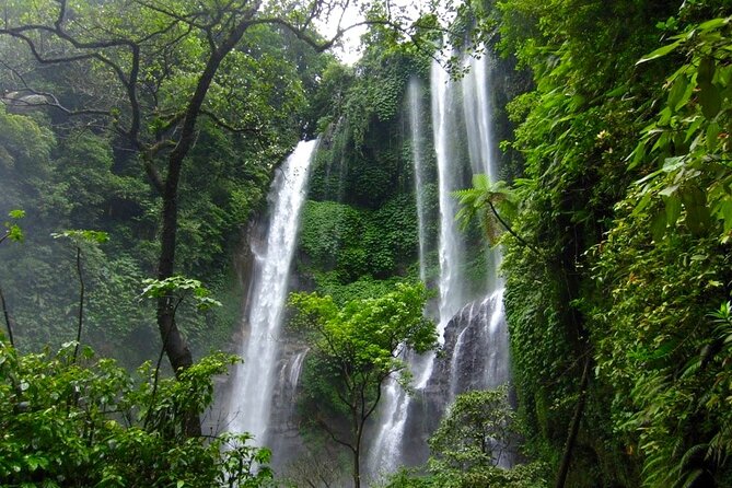 Banyuwana & Banyumala Waterfalls Tour Private - All-Inclusive - Private Driver and English Support: What You Gain on a Stairy Day