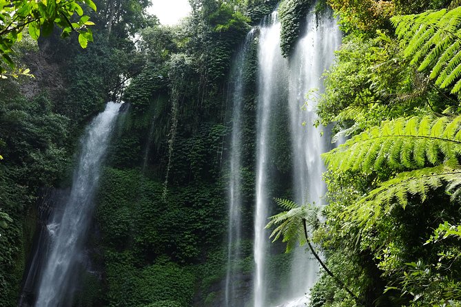 Banyuwana & Banyumala Waterfalls Tour Private - All-Inclusive - Banyu Wana Amertha Waterfall: Where the Stairs and Steep Bits Matter