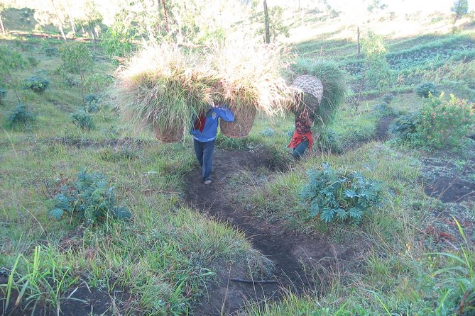 Batur Caldera Sunrise Trekking - Why this Mt. Batur sunrise hike feels different from the usual crowd