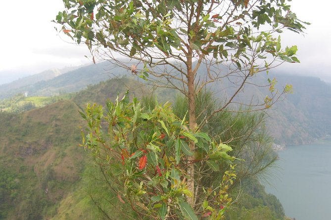Batur Caldera Sunrise Trekking - Sunrise at the caldera top: warm drinks, views, and breakfast