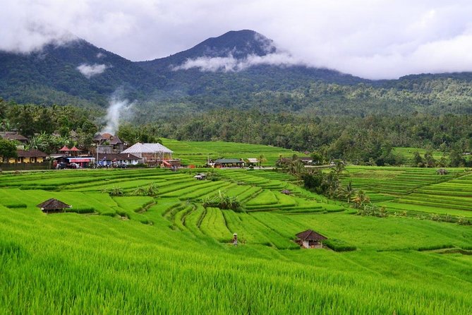 Beauty Of West Bali Tour (Private and All Inclusive) - West Bali highlights start in Ubud, with an early 8:30am push