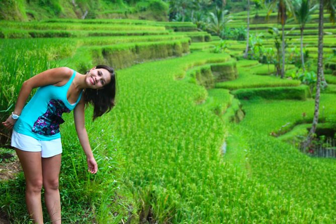 Beauty Of West Bali Tour (Private and All Inclusive) - Price and value: where the $66.67 really goes