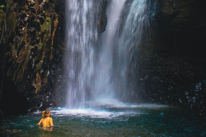 Bedugul and Singaraja Tour - A Bali North Coast Day You Can Do Without Stress