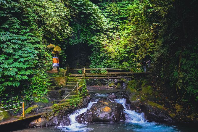 Bedugul and Singaraja Tour - Lovina’s North Coast: Black Sand Country and Lunch on Your Terms