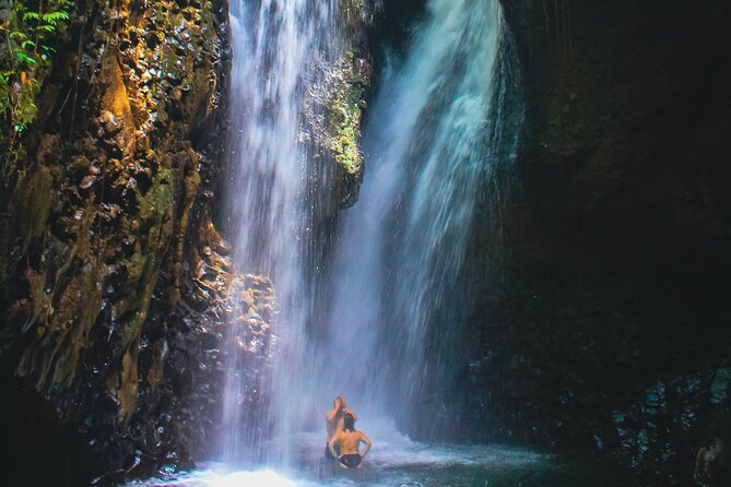 Bedugul and Singaraja Tour - The Rainforest Walk to Gigit Waterfall