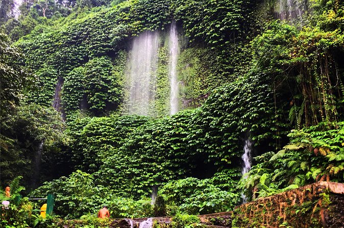 Benang kelambu waterfall and benang stokel waterfall lombok - Swimming, monkeys, and what wildlife means for your experience