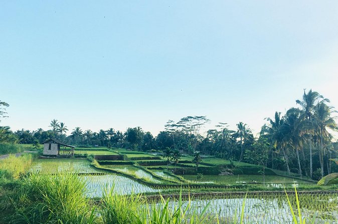 Benang kelambu waterfall and benang stokel waterfall lombok - Rice terraces, hand weaving village, and a traditional Sasak village
