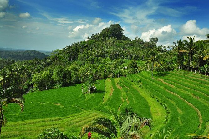 Besakih Temple Tour - Mother Temple in Bali - The driver-guide and pacing: why organization matters on a long route