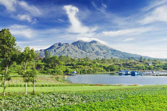 Besakih Temple Tour: the Biggest Temple in Bali - Stop 4: Tegalalang Rice Terrace for a short, scenic stroll