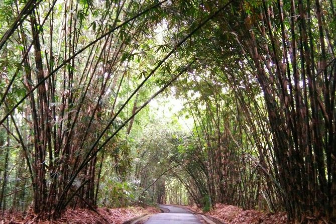 Besakih Temple Tour - Traditional Bali Village - All Inclusive - How the Route Works: Village, Temple, and the Cave Waterfall