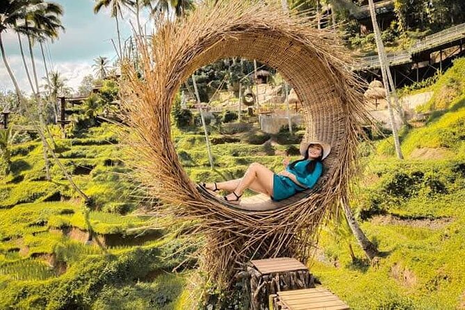 Best Bali Tour 1-day private tour - Key Highlights You’ll Actually Care About