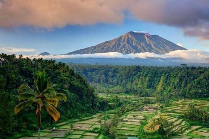 Best bali transport service - custom your own itinerary - Key highlights to plan around