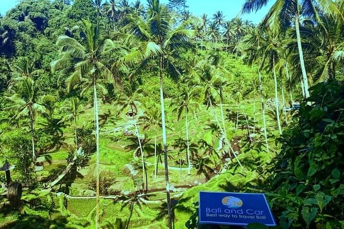 Best bali transport service - custom your own itinerary - Where your driver can take you across Bali areas