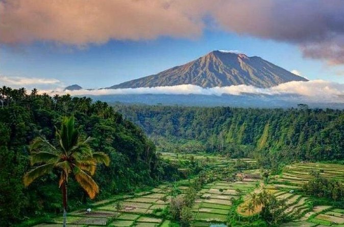 Best bali transport service - custom your own itinerary - Food and drinks: what you should plan for since it is not included