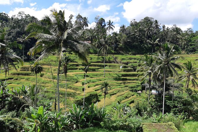 Best Bali Ubud Full Day All-Inclusive Private Tour - How the pickup and guide flow makes the day feel easier