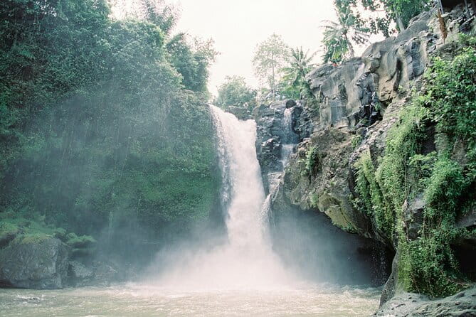 Best Day Tour - #3 World Cleanest Traditional Village - Kuta to Ubud, the “full-day but not chaotic” rhythm