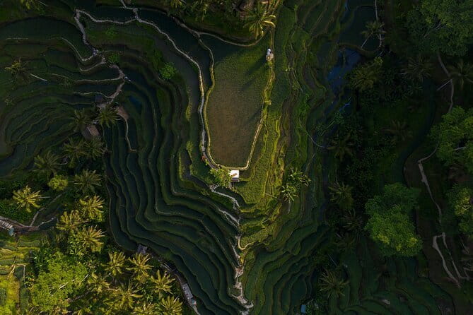 Best Day Tour - #3 World Cleanest Traditional Village - Tegenungan Waterfall: when green scenery is the main event