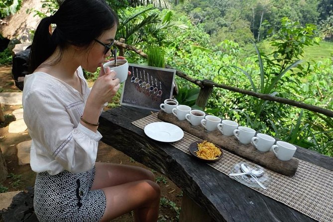 Best Day Trip in Bali - Tegenungan Waterfall: the best reset point for photos and a swim