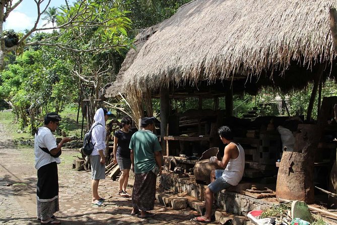 Best East Bali Tour - Driver Quality and What the Reviews Tell You