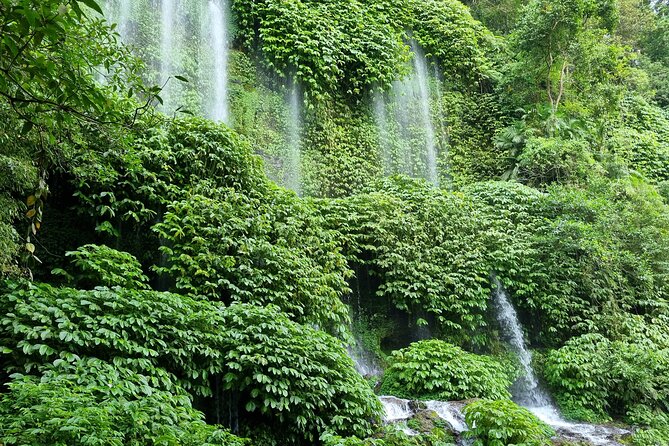 Best Lombok Rice Terrace Walking Tour With Waterfall & Monkey - A Lombok day of rice terraces, waterfalls, and monkeys