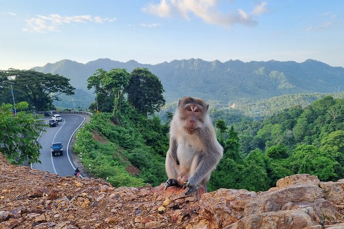 Best Lombok Rice Terrace Walking Tour With Waterfall & Monkey - What to bring and how to prep for a full walking day