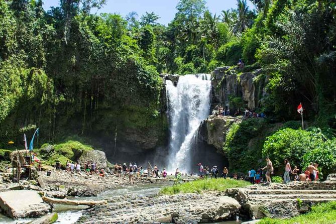 Best of Authentic Balinese Tour - Rice Terrace at Tegalalang: the view plus the “why it works”