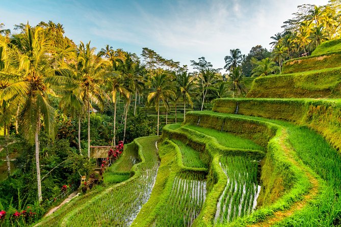 Best of Authentic Balinese Tour - Mas and Celuk art villages: crafts, culture, and shopping psychology