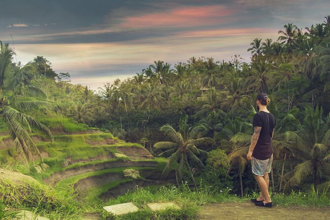 Best of Bali : Bali Temples , Rice Terrace and Waterfall Tour - Tegalalang Rice Terrace: classic views with time to enjoy them