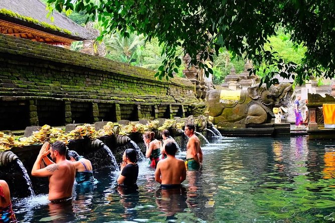 Best of Bali Jungle Swing with Ubud Sightseeing Tour - Monkey Forest Sanctuary: enjoy macaques, stay in control
