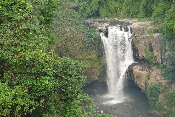 Best of Bali Jungle Swing with Ubud Sightseeing Tour - Coffee plantation time: a slower pause (when included)