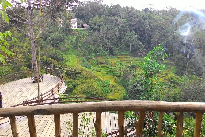 Best of Bali : Ubud, Rice terrace, Tanah lot temple with Lunch - The Kuta start: comfort and what “pickup offered” really means