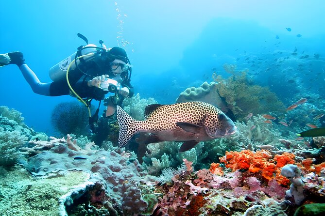 Best of Bali Water Sport Jumbo Packages - Timing and queues: the one part you should plan for