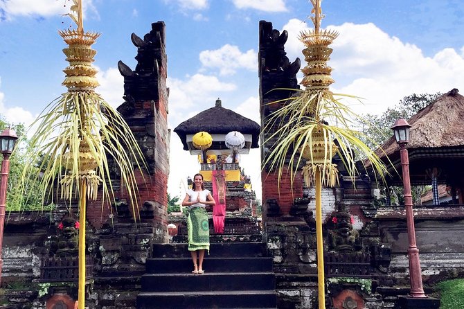 Best of Bali Water Temple and UNISCO Rice Terrace Trek - Transport, comfort, and the value of a private driver