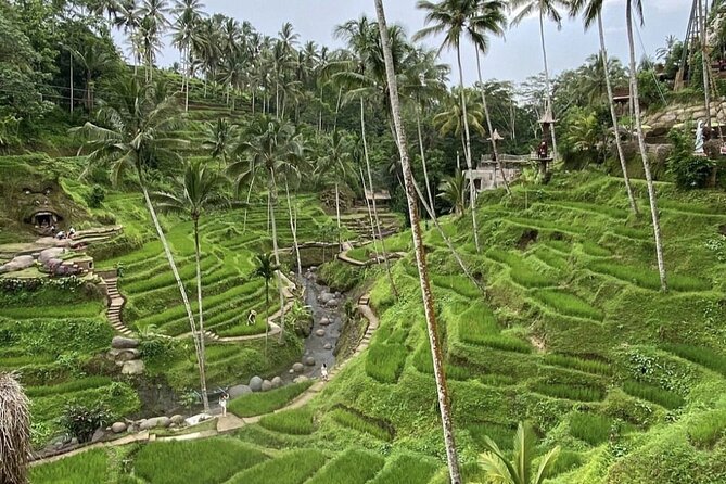 Best of Instagram Tour: Gate of Heaven, Tirta Gangga, Bali Swing - Transport, lunch, and small comforts that make a long day easier