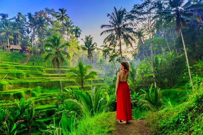 Best of Ubud: All-Inclusive Private Tour with Local Guide - Why this Ubud day feels easier than DIY