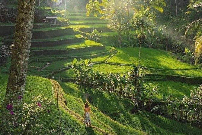 Best of Ubud: All-Inclusive Private Tour with Local Guide - Stop 3: Tirta Empul Temple, holy water and optional participation