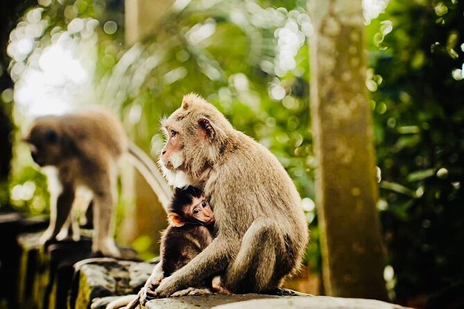 Best of Ubud: All-Inclusive Private Tour with Local Guide - Stop 4: Kanto Lampo Waterfall, stairs, stone steps, and a quick reset