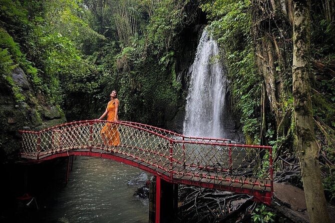 Best of Ubud: All-Inclusive Private Tour with Local Guide - Stop 6: Sacred Monkey Forest Sanctuary, shaded paths and etiquette matters