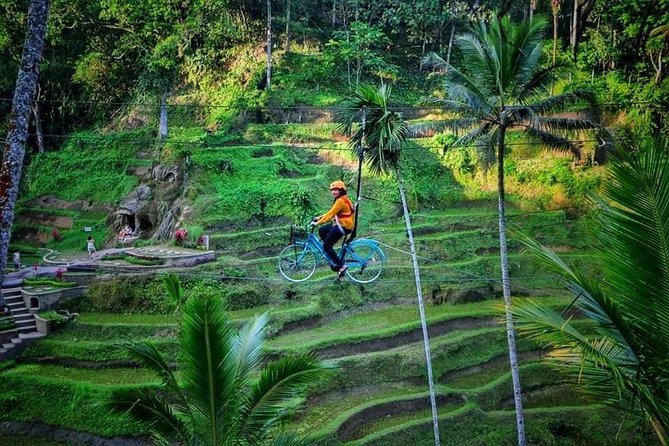 Best of Ubud - Full day Tour + FREE WI-FI - Phalam Batik since 1988, plus wood carving artistry