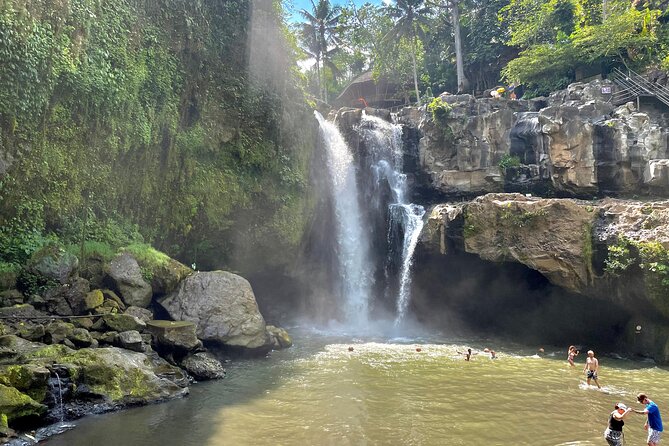 Best Of Ubud Half Day Private Guided Tour - Ubud in a Photo-Focused Half-Day, Without the Group Hustle
