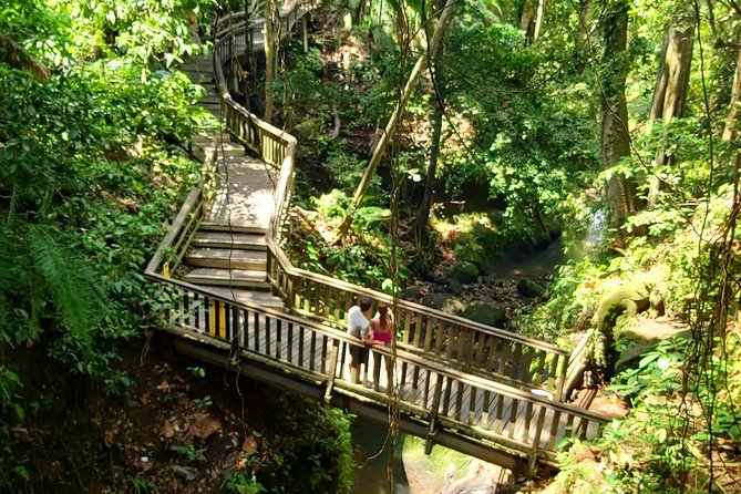 Best of Ubud - Kintamani Volcano View - Private Tour - Sacred Monkey Forest Sanctuary: Start With a 10 Hectare Dose of Bali Wildness