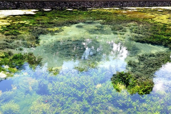 Best of Ubud - Kintamani Volcano View - Private Tour - Price and Logistics: Is $63 Per Person Fair Here?