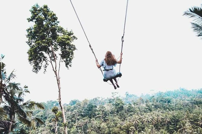 Best of Ubud Private Tour with Jungle Swing Experience - Pickup in an AC Private Car, and the Comfort Reality