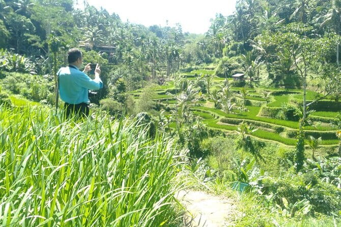 Best Of Ubud Scenic Full Day Private Guided Tour - Key highlights you can plan around