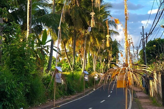 Best Of Ubud Scenic Full Day Private Guided Tour - Pickup and getting around, from Seminyak to the north