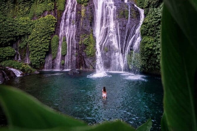 Best Of Ubud Scenic Full Day Private Guided Tour - Tegalalang rice terrace in the north: views with breathing room