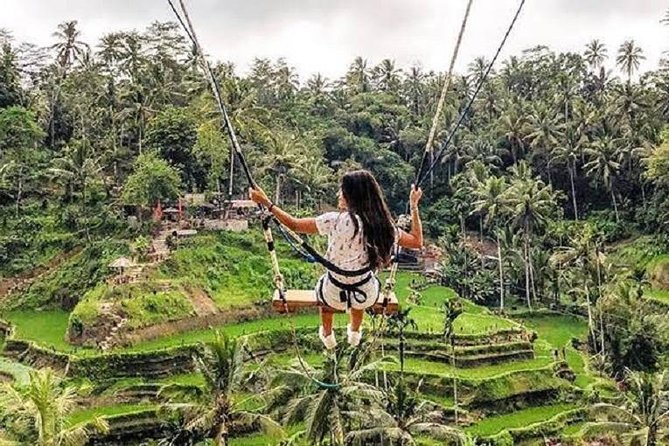 Best of Ubud Tour with Jungle Swing Private and All Inclusive - Sacred Monkey Forest Sanctuary: temples among gray macaques