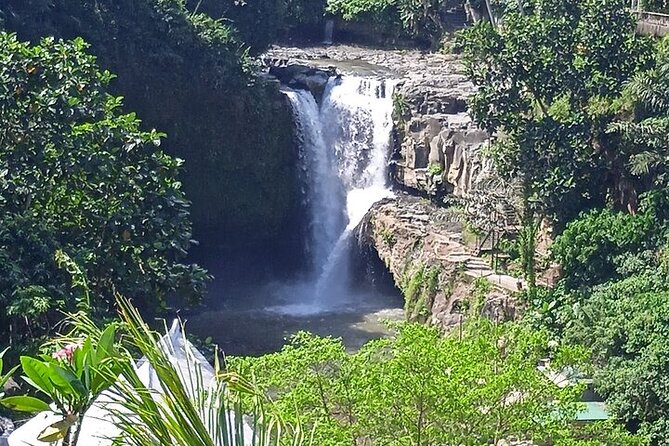 Best of Ubud - Ubud Tour Popular - All Inclusive - Tegenungan Waterfall, 15 meters of cooling power and optional jumps