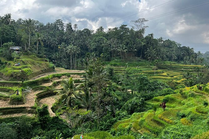 Best of Ubud - Ubud Tour Popular - All Inclusive - Ubud Art Market opposite Puri Saren, shopping without wandering